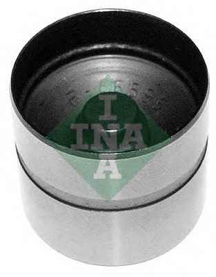 ina 420021010