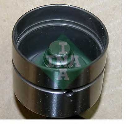 ina 420021710