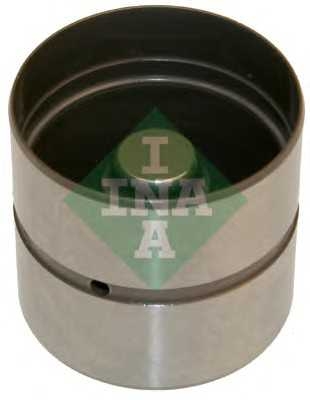ina 420022010