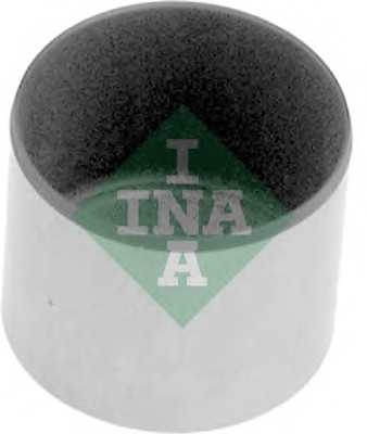 ina 421002910