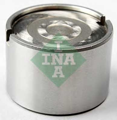 ina 421006010