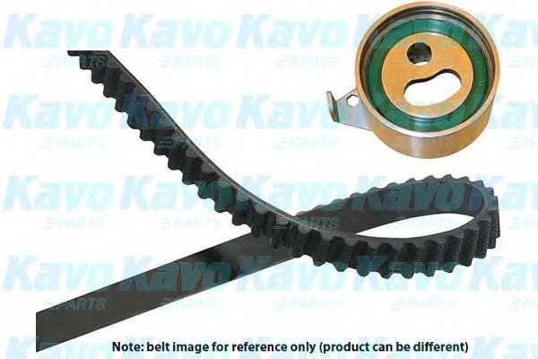 kavoparts dkt4520