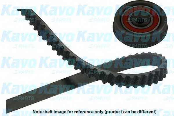 kavoparts dkt5503