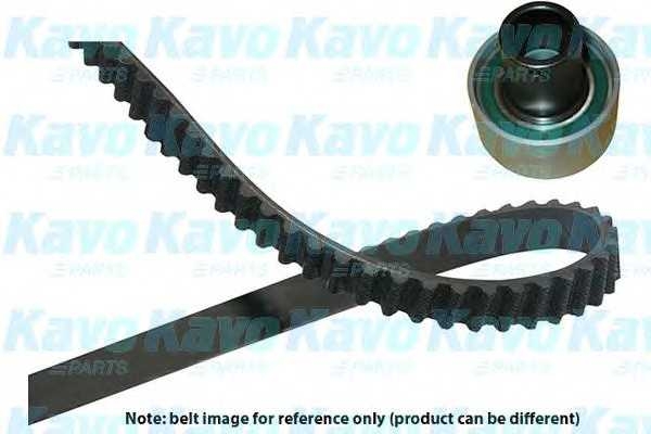 kavoparts dkt6518