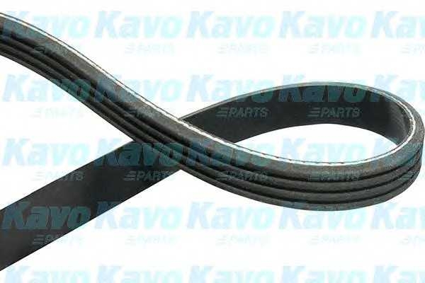 kavoparts dmv5511