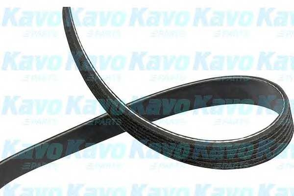 kavoparts dmv9096