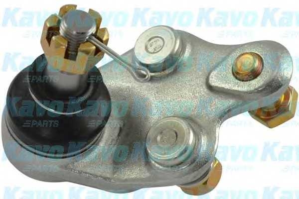 kavoparts sbj9007