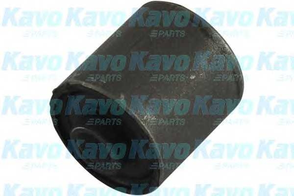 kavoparts scr2005