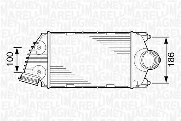 magnetimarelli 351319201820