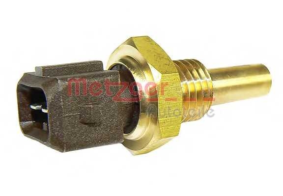 metzger 0905179