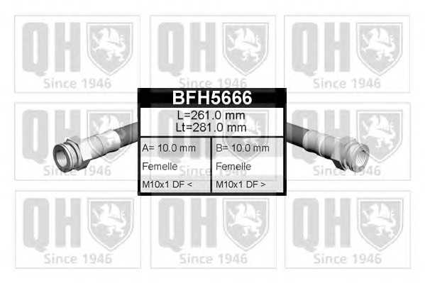 quintonhazell bfh5666
