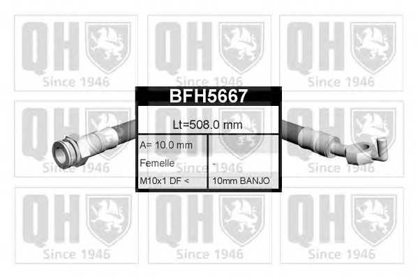 quintonhazell bfh5667