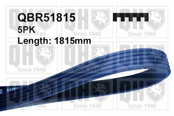 quintonhazell qbr51815