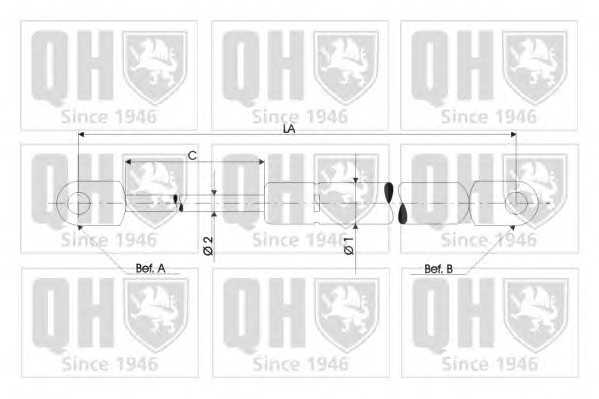 quintonhazell qts828073