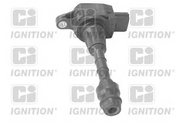quintonhazell xic8247
