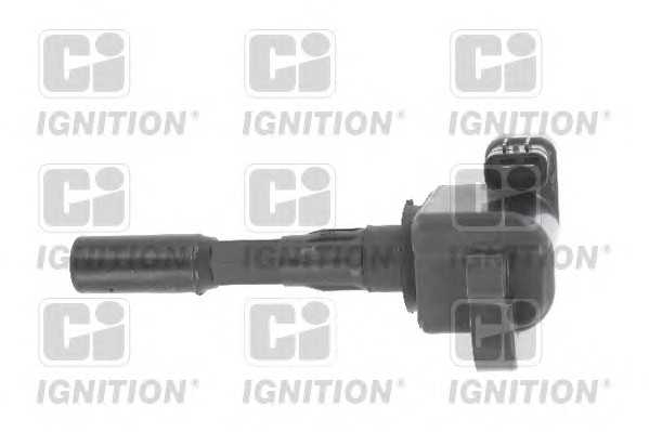 quintonhazell xic8564