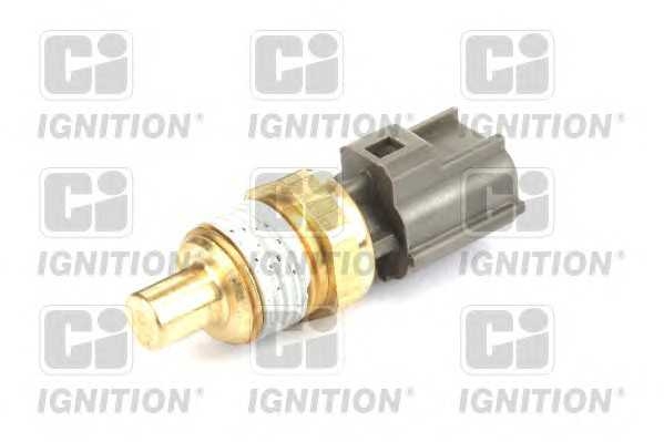 quintonhazell xtts204