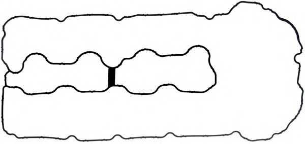 reinz 711017900