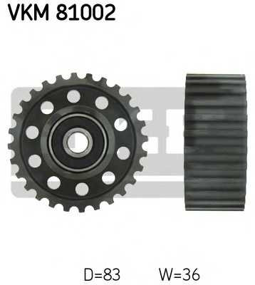 skf vkm81002