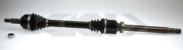 spidan 24505