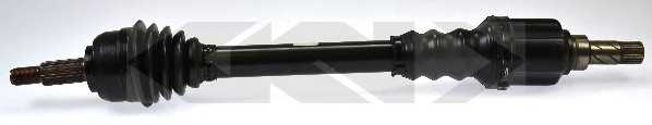 spidan 24624