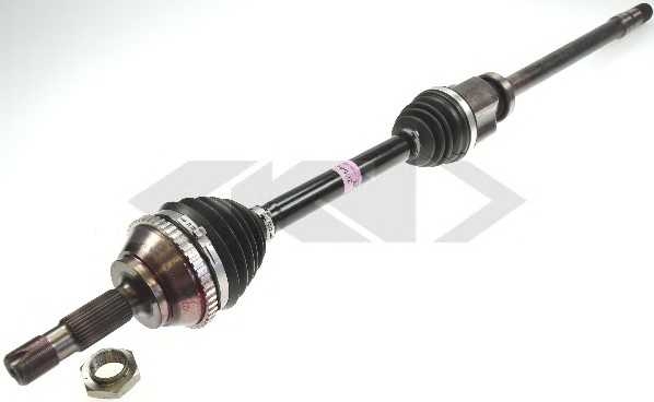 spidan 25244