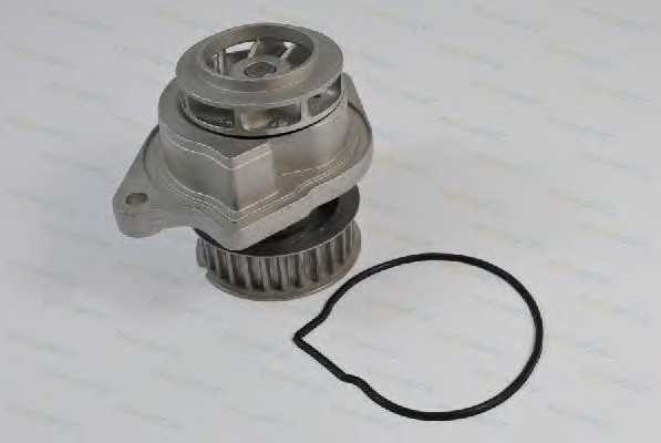 thermotec d1w019tt
