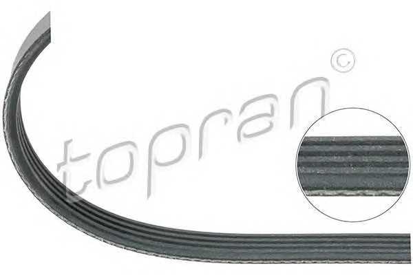 topran 304617