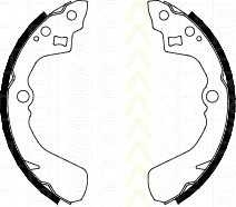 triscan 810010524