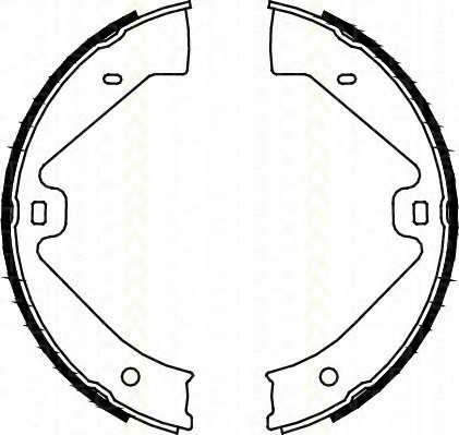 triscan 810029002