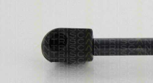 triscan 871010213