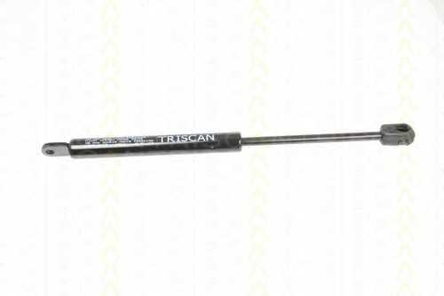 triscan 87102005
